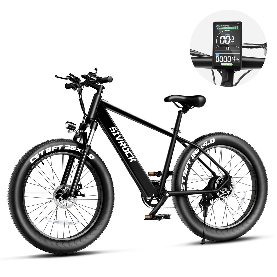 Professional Electric Bicycle E-Bike