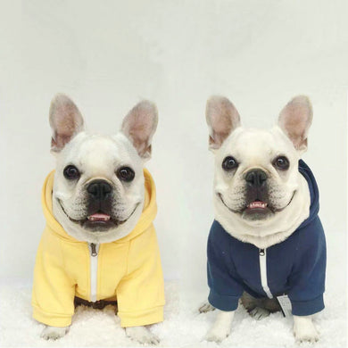 Pets Tip Hooded suit