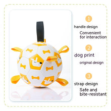 Load image into Gallery viewer, Dog Interactive Football Toys Children Soccer Dog Outdoor Training Balls Pet Sporty Bite Chew Teething Ball With Cute Printing