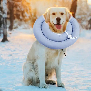 Elizabethan Collar Cute Cat Cone Collar Dog Elizabethan Collar Adjustable Wounds Recovery Collar Waterproof Dog & Cat Neck Cones