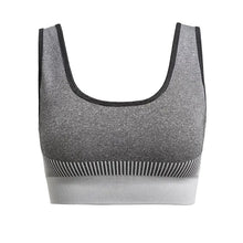 Load image into Gallery viewer, Sports Bra High Strength Shock-proof Plus Size Quick Drying