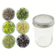 Cargar imagen en el visor de la galería, 2pcs, Mason Jar Stainless Steel Sprouting Stands + 2 Pcs Stainless Steel Sprouting Germination Jar Lids