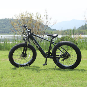 Professional Electric Bicycle E-Bike