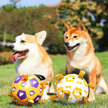 Load image into Gallery viewer, Dog Interactive Football Toys Children Soccer Dog Outdoor Training Balls Pet Sporty Bite Chew Teething Ball With Cute Printing