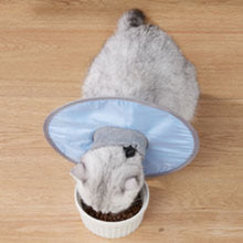 Cargar imagen en el visor de la galería, Waterproof Cat Recovery Collar  Adjustable Pet Cone Collar  Protective Cat Neck Cones To Stop Licking Wounds Lightweight Kitten Cones After Surgery Elizabethan E Collar For Cats Small Dog Puppy