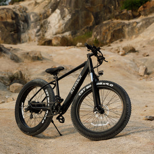 Professional Electric Bicycle E-Bike