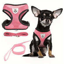 Cargar imagen en el visor de la galería, (Second Hands ) Leash Set For Dogs And Cats