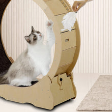 Charger l&#39;image dans la galerie, Cat Wheel, Cat Treadmill, Exercise Wheel, Cat Toy, Cats Loss Weight Device