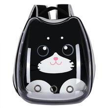 Laden Sie das Bild in den Galerie-Viewer, Cat Bag Transparent Outgoing  holding Cat