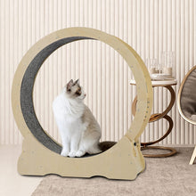 Charger l&#39;image dans la galerie, Cat Wheel, Cat Treadmill, Exercise Wheel, Cat Toy, Cats Loss Weight Device