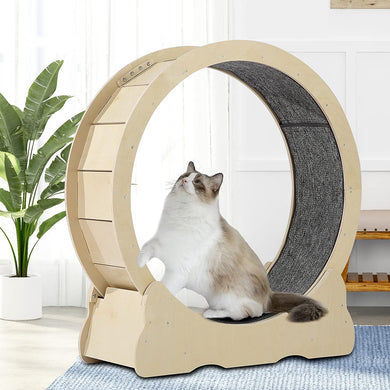 Cat Wheel, Cat Treadmill, Exercise Wheel, Cat Toy, Cats Loss Weight Device