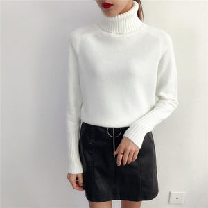 Cashmere Turtleneck Long Sleeve Pullover Knitwear - FUCHEETAH